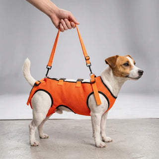 Harnais de soutien avant-train chien senior | Réglable mobilité réduite