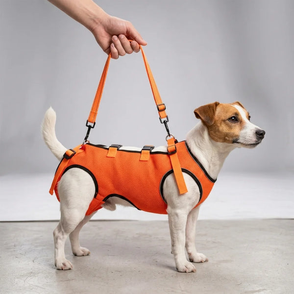 Harnais de levage chien senior corps entier - vue frontale