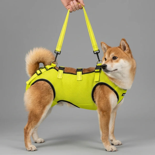 Harnais levage chien - matière respirante néoprène