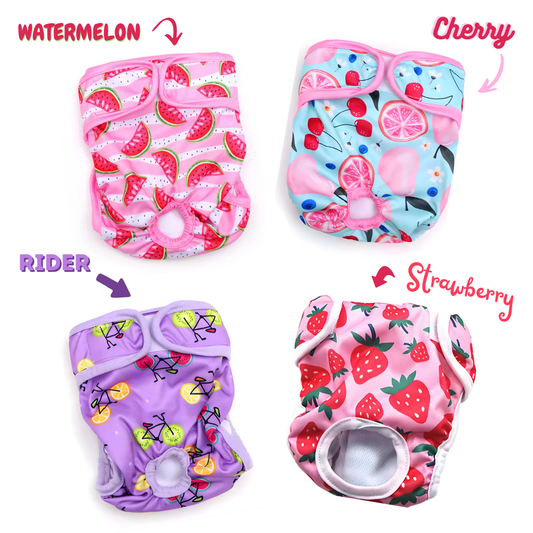 Couche lavable pour chien senior