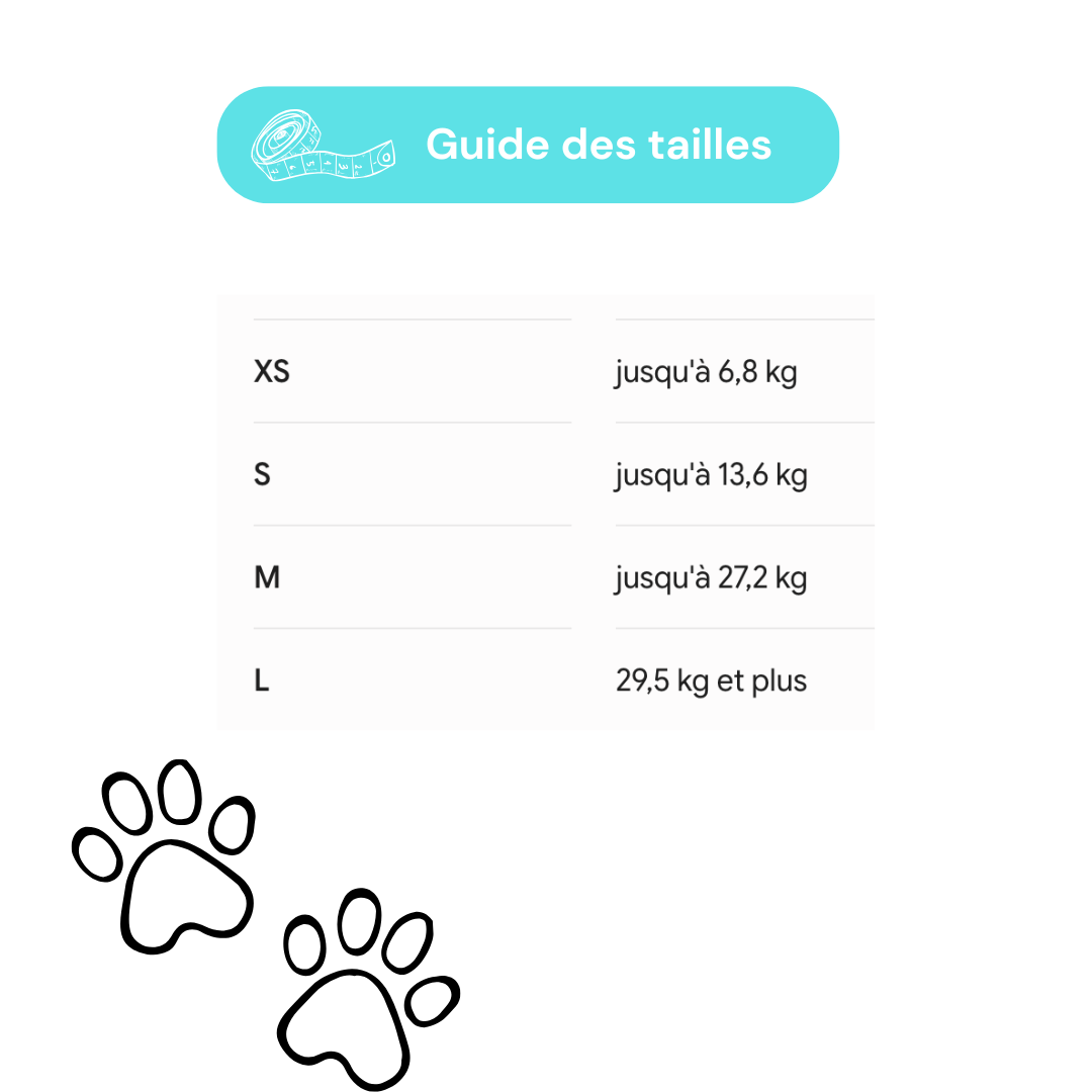 Attelle pour chien tarse et carpe