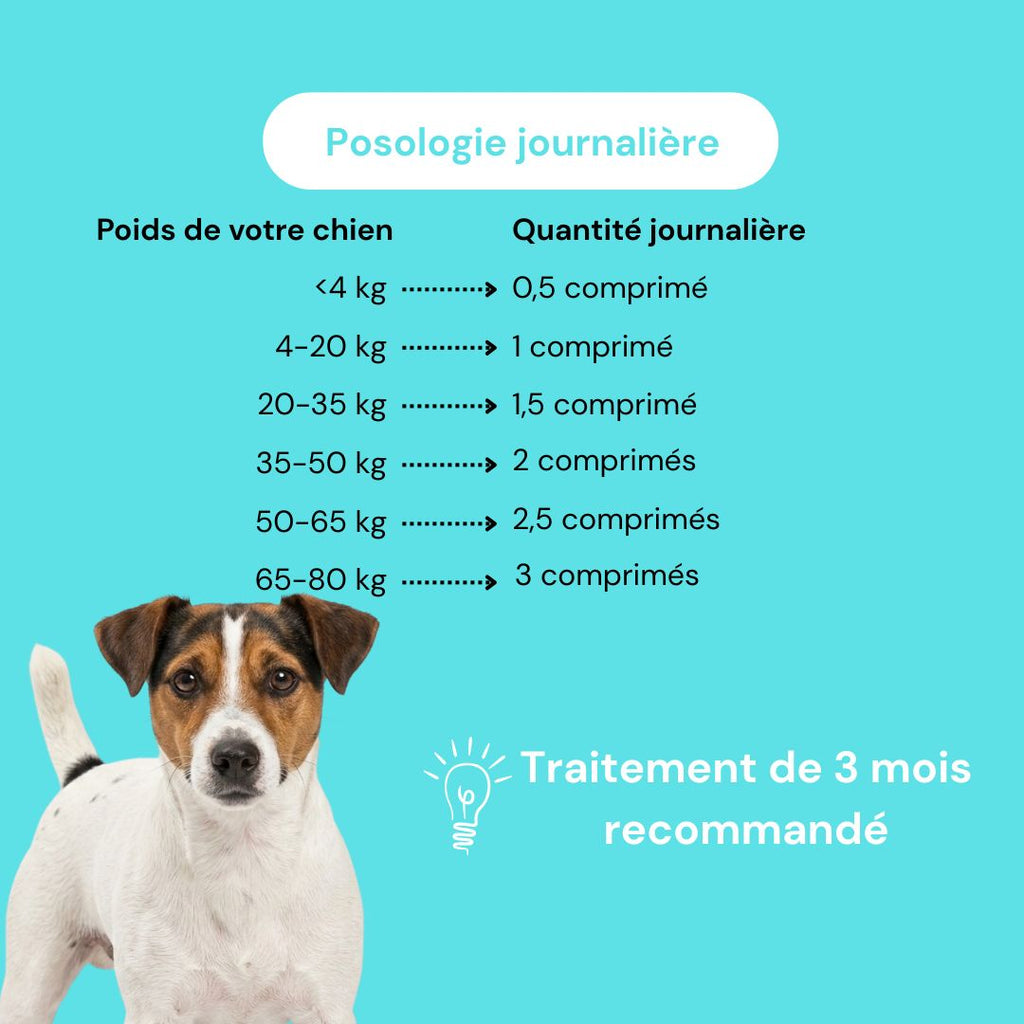Complément alimentaire arthrose anti douleur chien - naturel et francais