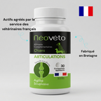 Complément alimentaire arthrose anti douleur chien - naturel et francais
