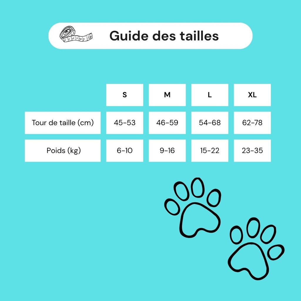 Harnais soutien arrière-train chien senior