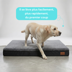 Panier chien XL orthopédique gris
