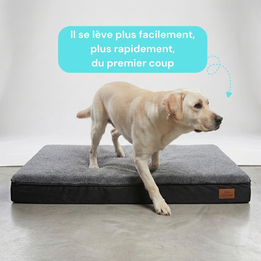 Panier chien XL orthopédique gris