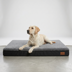 Panier chien XL orthopédique gris