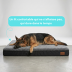 Panier chien XL orthopédique gris