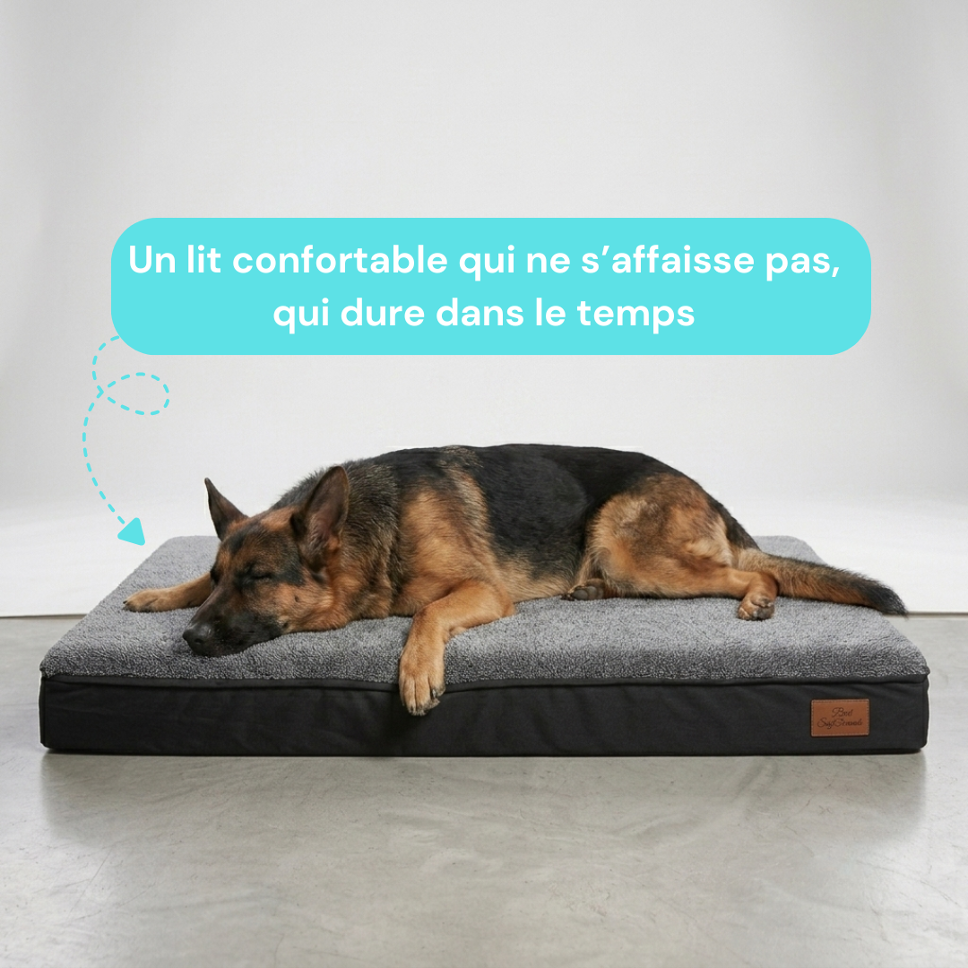 Panier chien XL orthopédique gris
