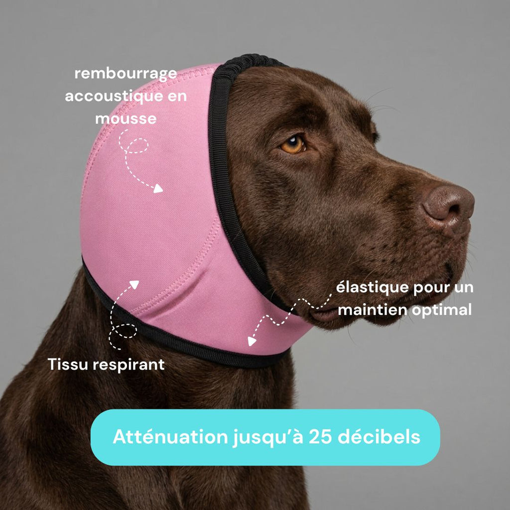 Protège-oreilles pour chien qui tremble  Réduction Bruit