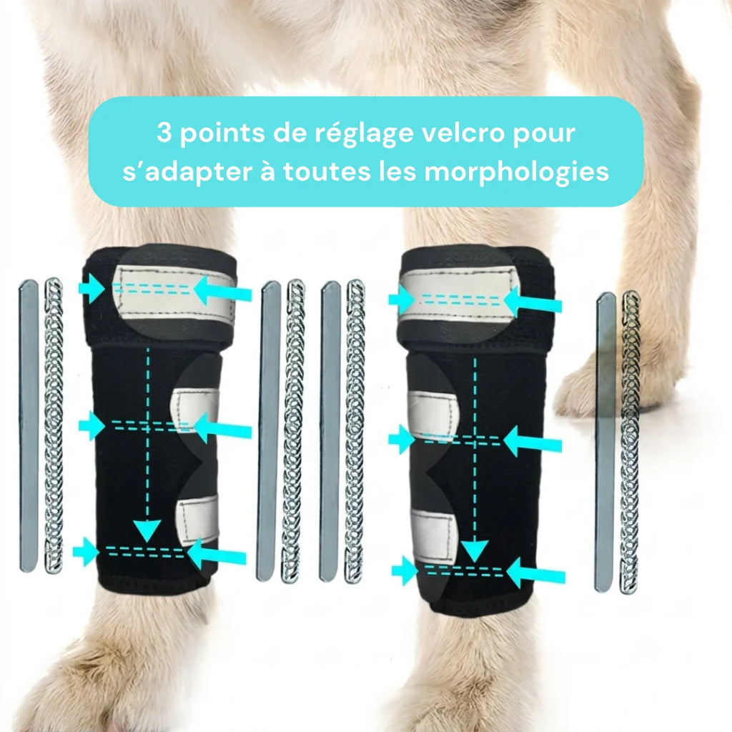 Attelle avant-bras chien senior réfléchissante
