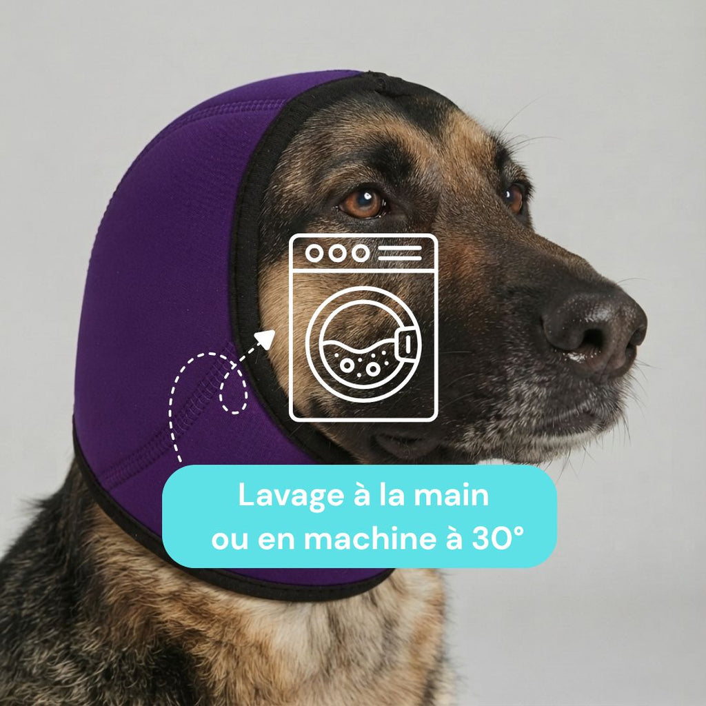 Protège-oreilles pour chien qui tremble  Réduction Bruit