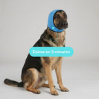 Protège-oreilles pour chien qui tremble  Réduction Bruit