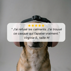 Casque antibruit chien pour anxiété