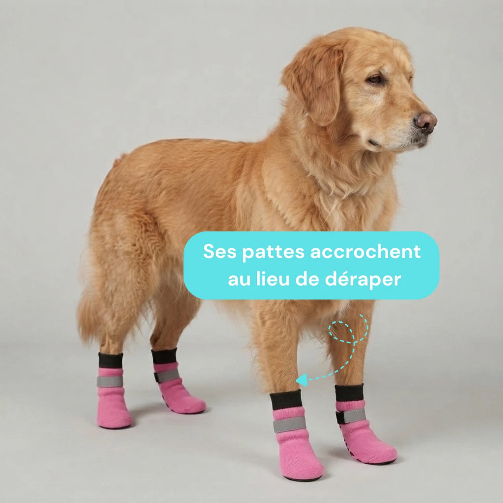 Chaussettes chien antidérapantes et réfléchissantes - Lot de 4