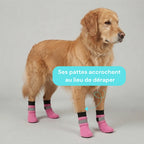 Chaussettes chien antidérapantes et réfléchissantes - Lot de 4