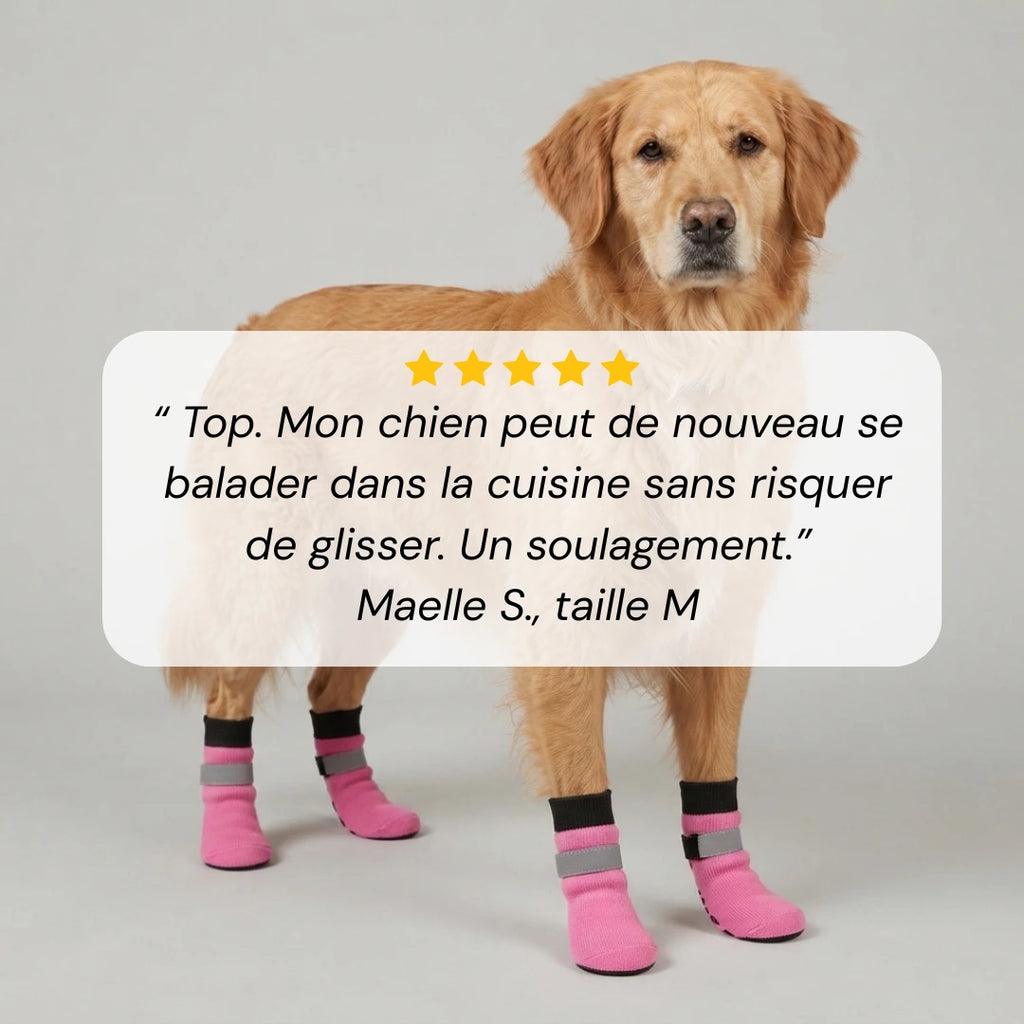 Chaussettes chien antidérapantes et réfléchissantes - Lot de 4