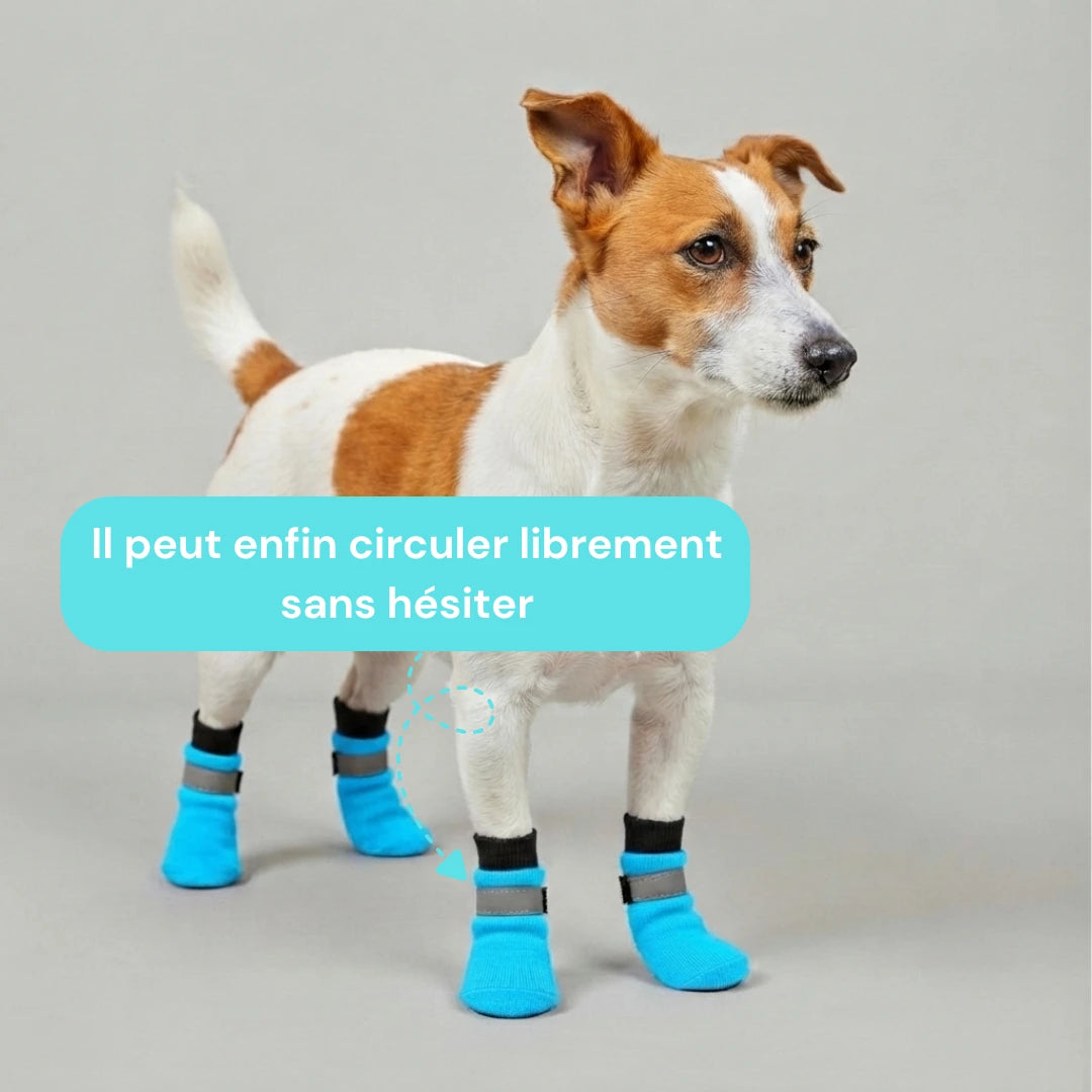 Chaussettes chien antidérapantes et réfléchissantes - Lot de 4