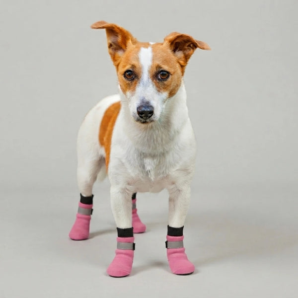 Chaussettes chien antidérapantes et réfléchissantes - Lot de 4