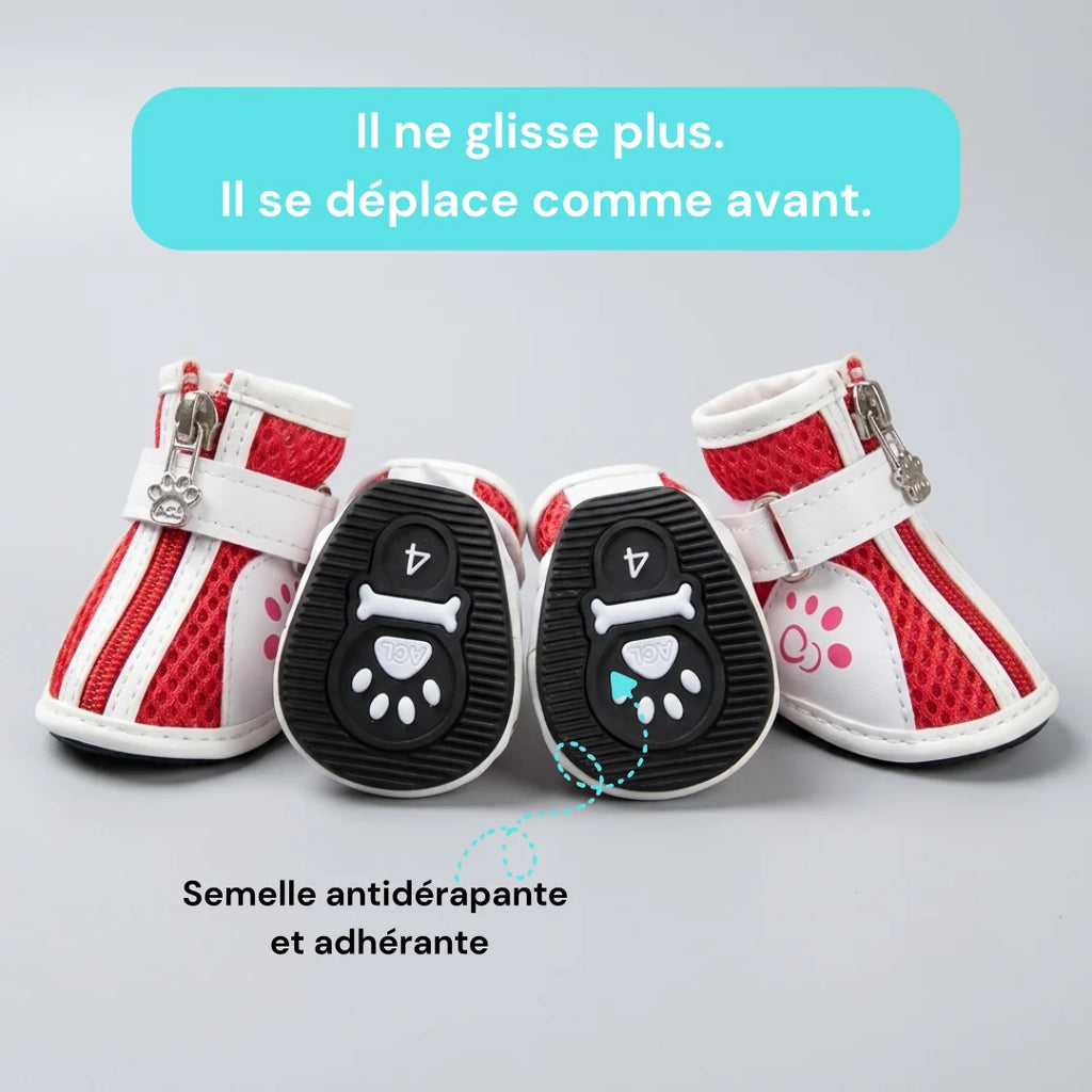 chaussures chien antidérapantes