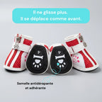 chaussures chien antidérapantes