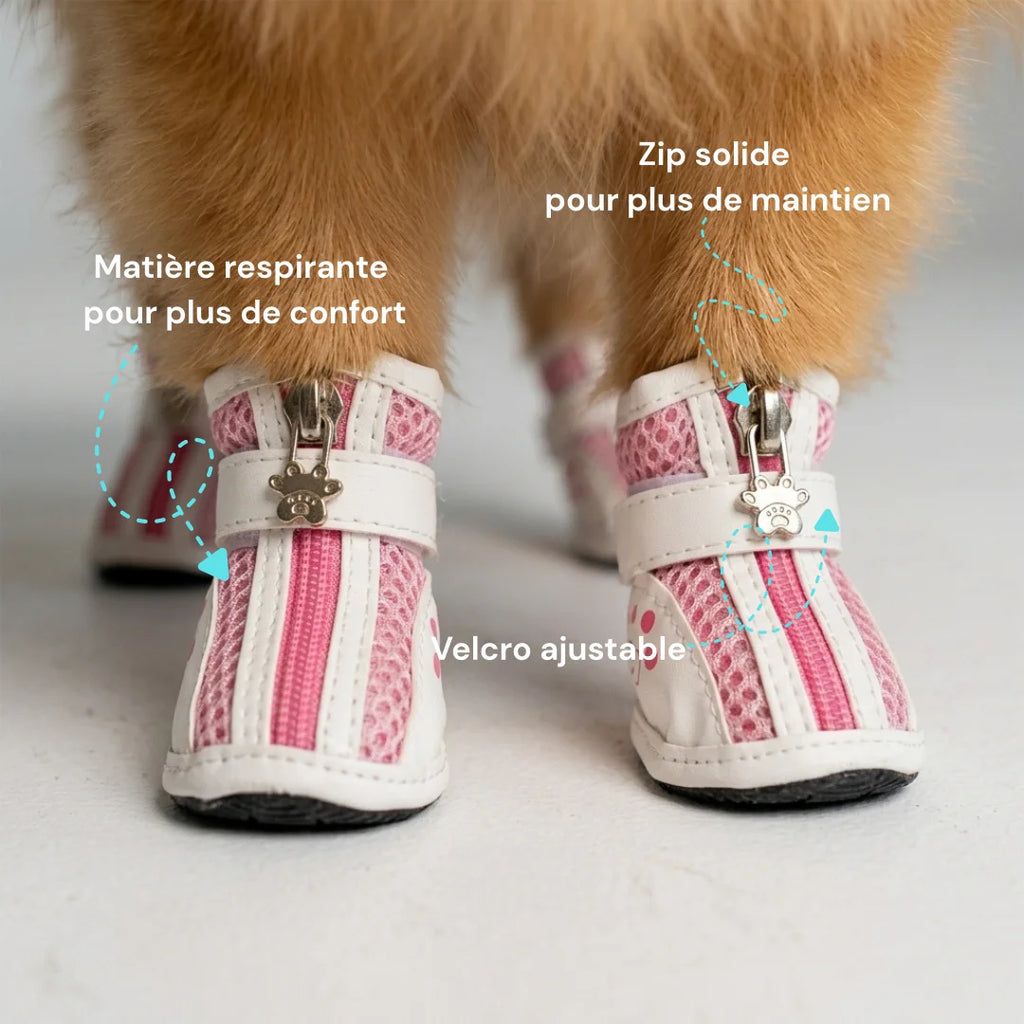 chaussures chien antidérapantes