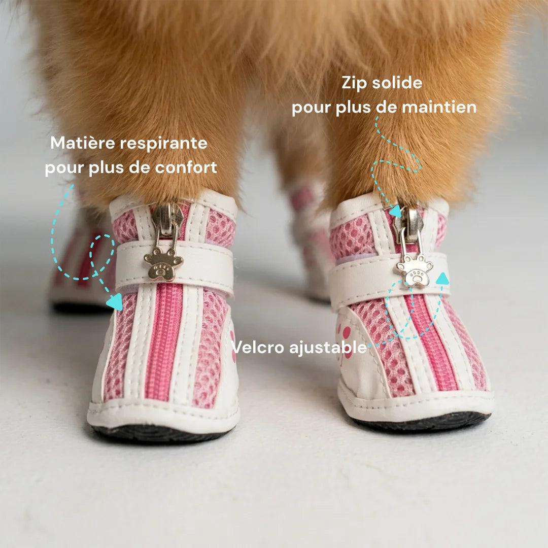 chaussures chien antidérapantes