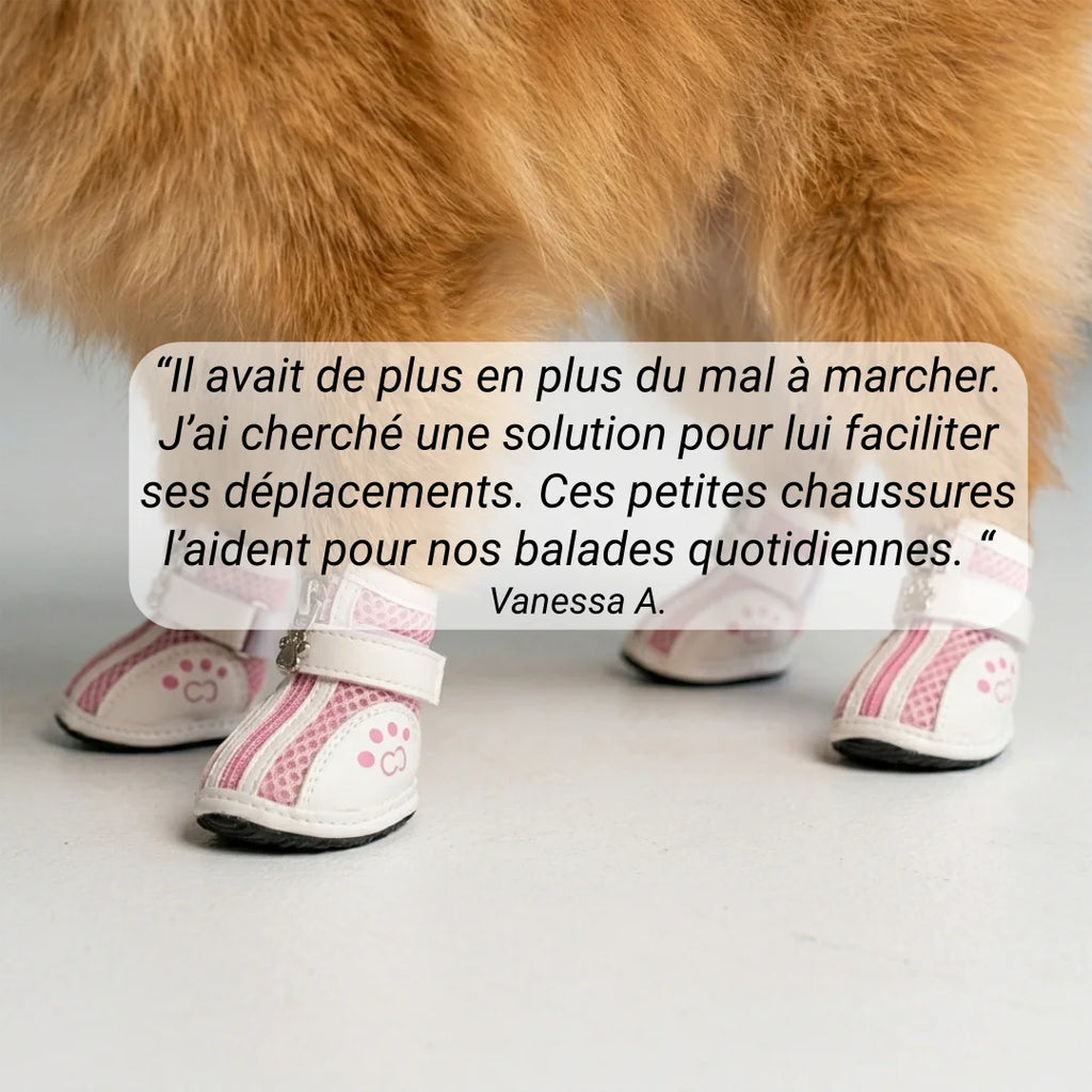 chaussures chien antidérapantes