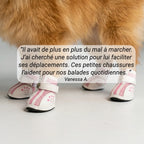 chaussures chien antidérapantes