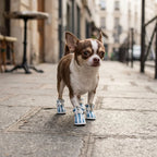 chaussures chien antidérapantes