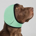 Protège-oreilles pour chien qui tremble  Réduction Bruit