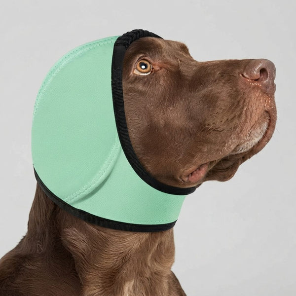 Protège-oreilles chien anxieux - couleur vert