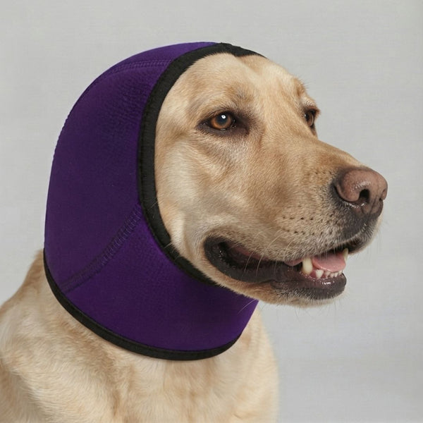 Protège-oreilles chien anxieux - couleur violet