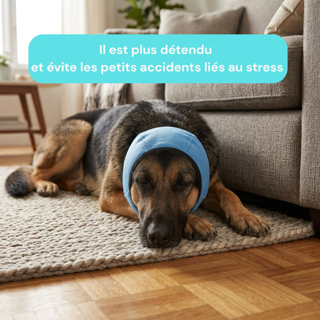 Protège-oreilles pour chien qui tremble  Réduction Bruit