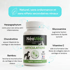 Complément alimentaire arthrose anti douleur chien - naturel et francais