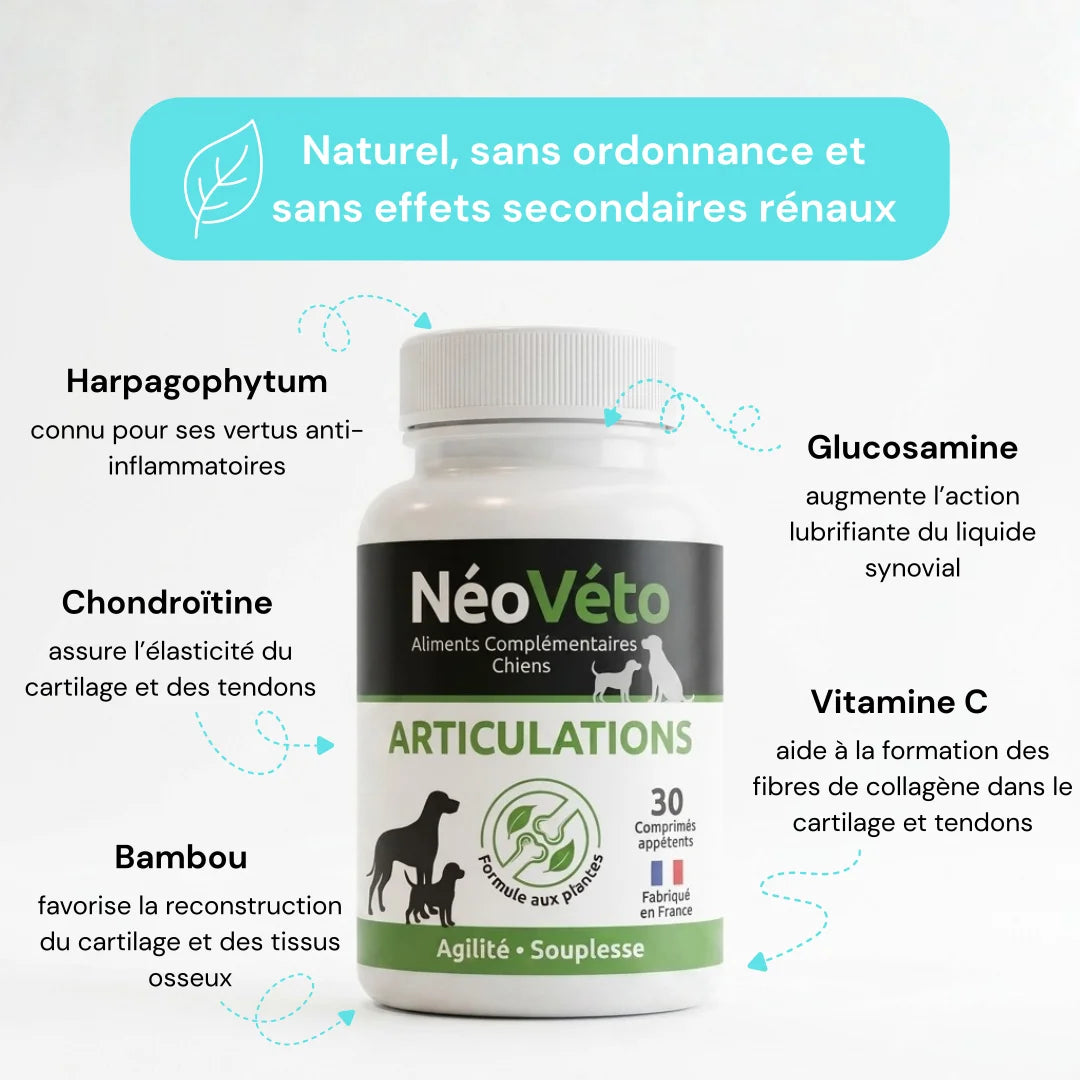 Complément alimentaire arthrose anti douleur chien - naturel et francais