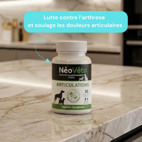Complément alimentaire arthrose anti douleur chien - naturel et francais