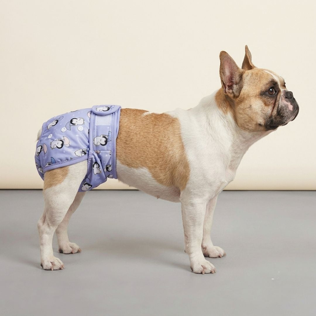 Couche pour chiens lavable - femelle