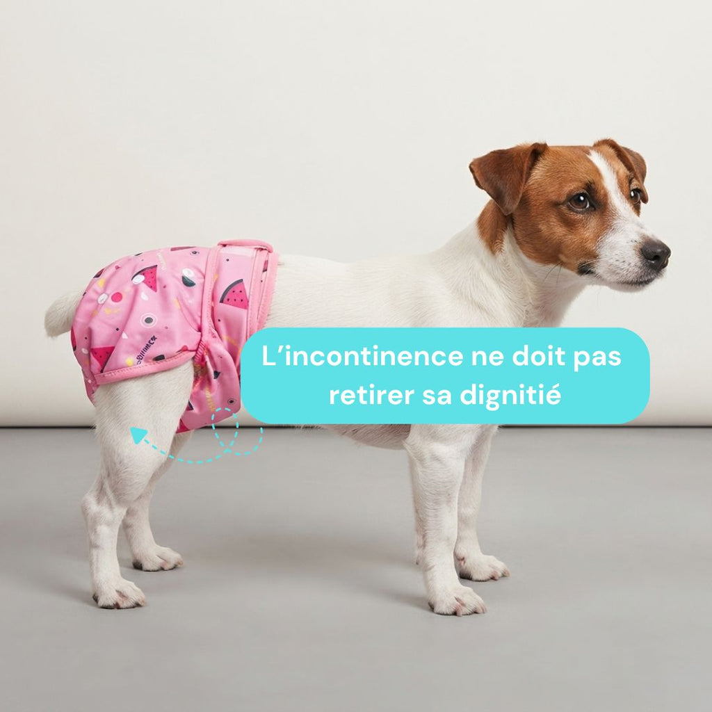 Couche pour chiens lavable - femelle