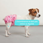 Couche pour chiens lavable - femelle