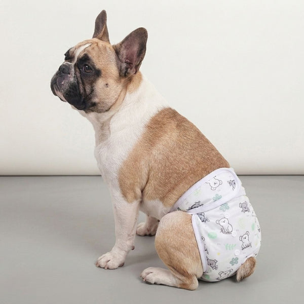 Couche pour chien incontinent lavable | femelle réutilisable