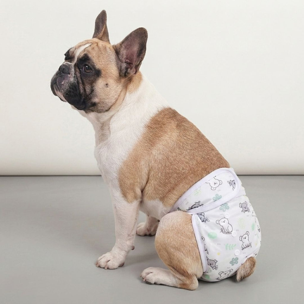 Couche pour chiens lavable - femelle