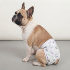 Couche pour chiens lavable - femelle