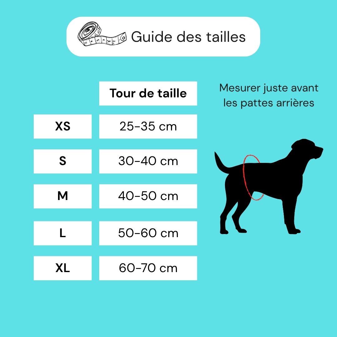Couche pour chiens lavable - femelle