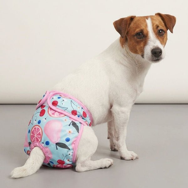 Couche lavable chien motif cerises - vue principale