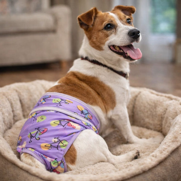 Couche pour chien incontinent lavable | femelle réutilisable