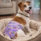Couche pour chiens lavable - femelle