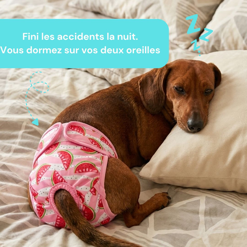 Couche pour chiens lavable - femelle