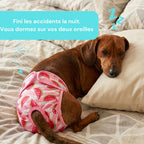 Couche pour chiens lavable - femelle