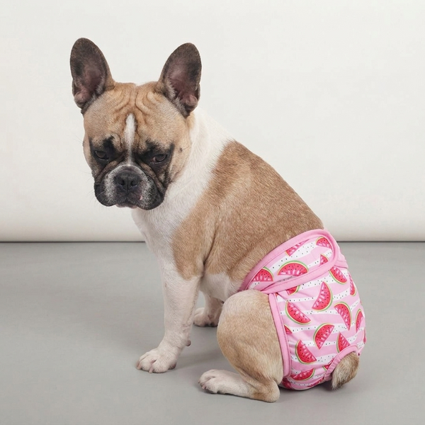 Couche pour chien incontinent lavable | femelle réutilisable